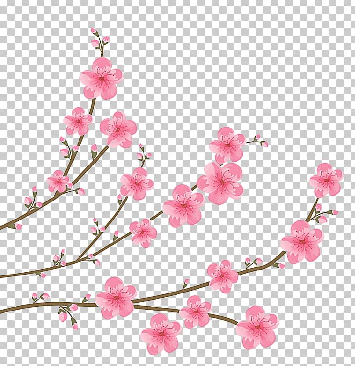 Cherry Blossom PNG, Clipart, Boat, Branch, Cherry, Dragon, Drawing Free PNG Download