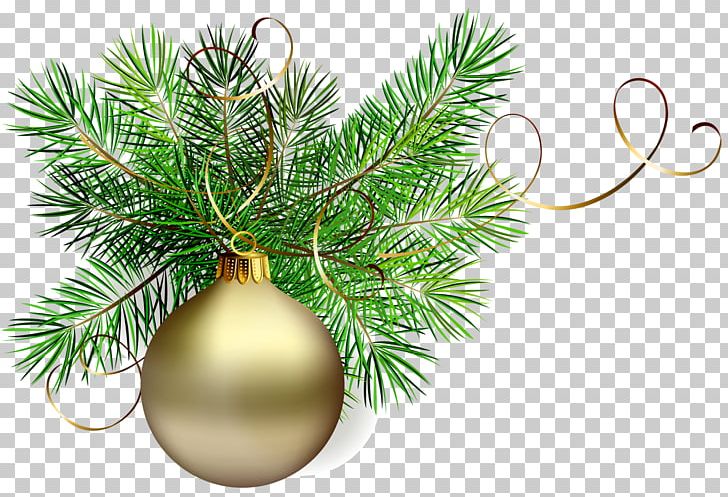 Christmas Ornament Christmas Decoration PNG, Clipart, Branch, Christmas, Christmas Decoration, Christmas Gift, Christmas Green Cliparts Free PNG Download