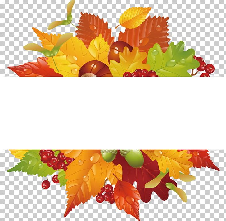 Autumn Leaf Color Euclidean PNG, Clipart, Autumn, Autumn Leaves, Beauty, Color, Fall Leaves Free PNG Download