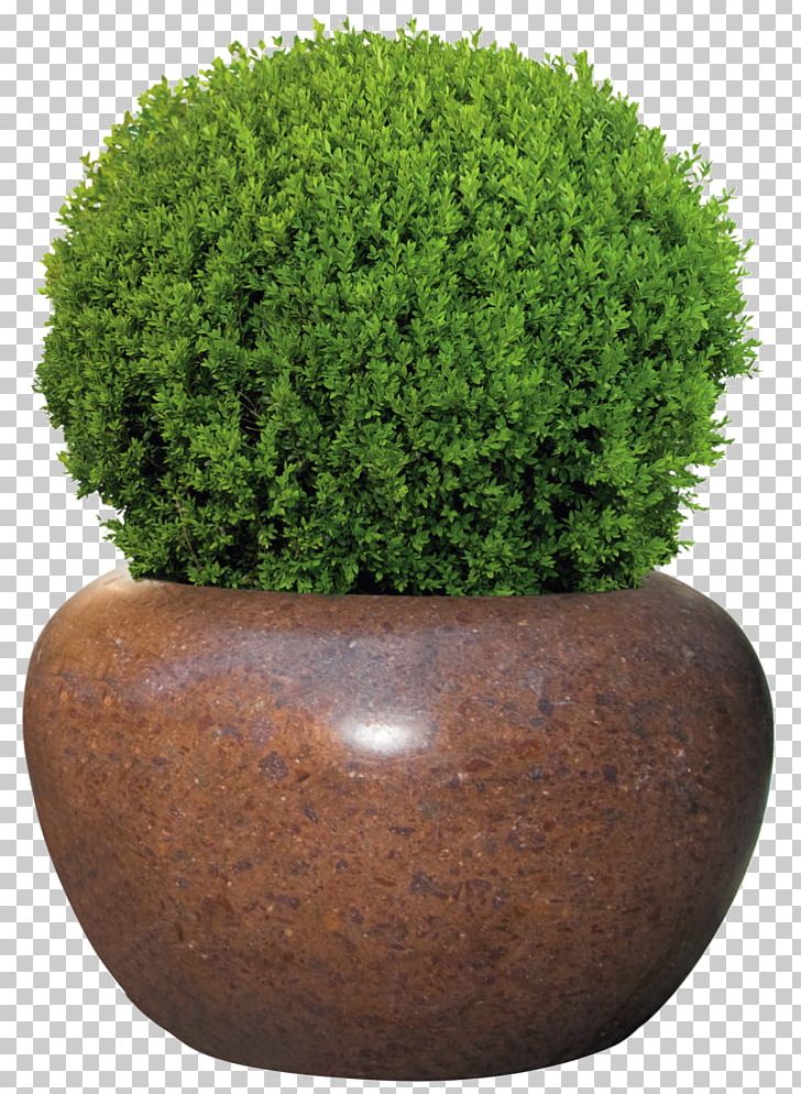 Flowerpot Вазон Shrub Production .cc PNG, Clipart, Alf, Artikel, Concrete, Evergreen, Flowerpot Free PNG Download