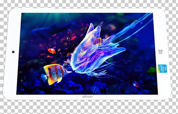 Jellyfish Underwater Animal Ocean Nature PNG, Clipart, Altron, Animal, Aquatic Animal, Clownfish, Cnidaria Free PNG Download
