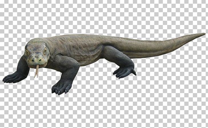 Komodo Dragon Reptile Lizard Portable Network Graphics PNG, Clipart, Animal Figure, Animals, Dinosaur, Dragon, Fauna Free PNG Download
