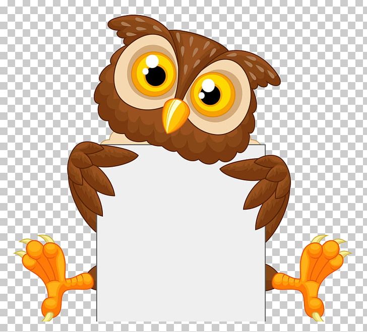 Owl Cartoon Illustration PNG, Clipart, Animals, Beak, Bird, Bird Of Prey, Cartoon Free PNG Download