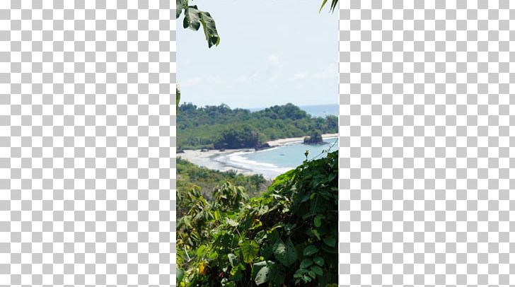 Water Resources Land Lot Real Property Sky Plc PNG, Clipart, Flora, Grass, Land Lot, Manuel Antonio National Park, Nature Free PNG Download