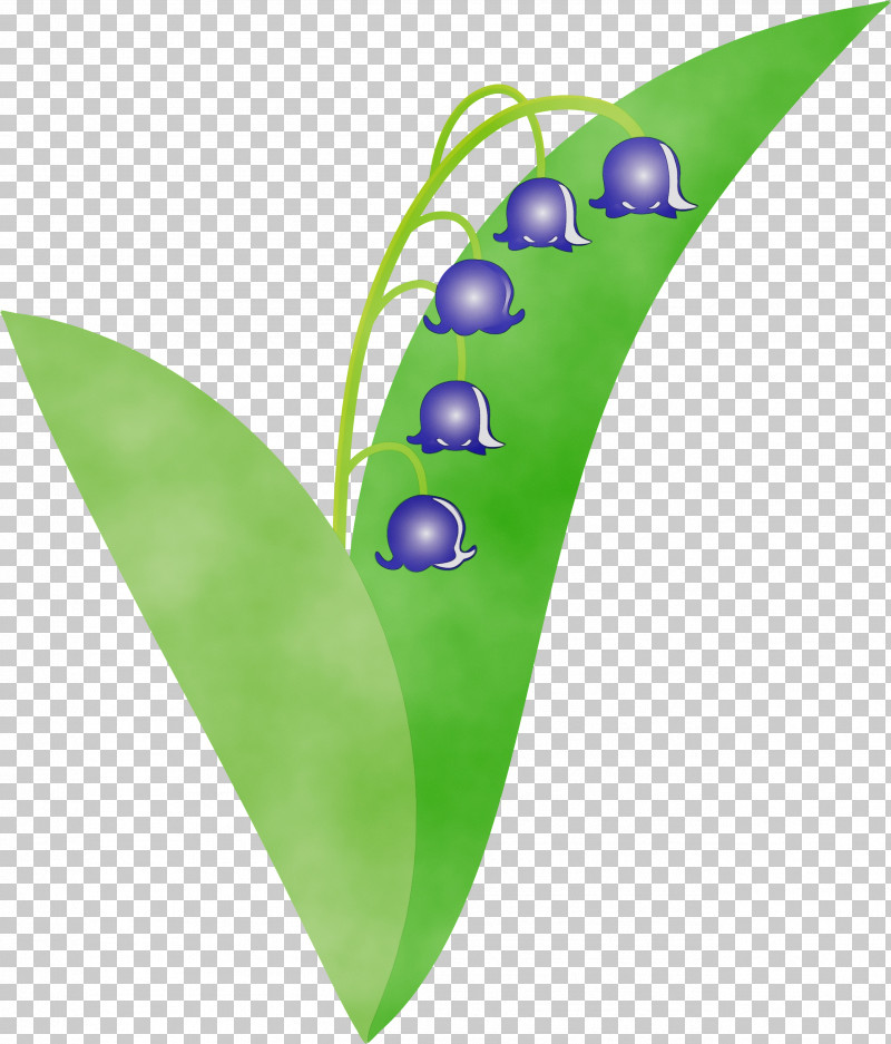 Leaf Green Plant PNG, Clipart, Flower, Green, Leaf, Lily Bell, Paint Free PNG Download