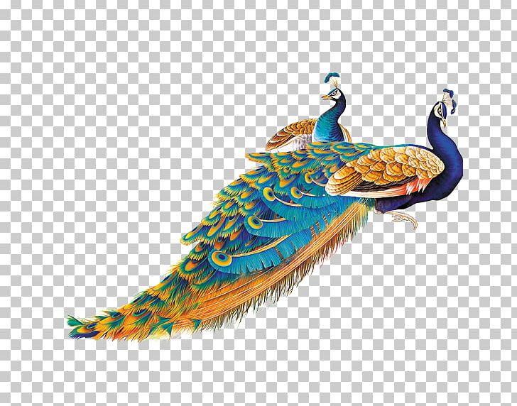 Bird Peafowl Feather PNG, Clipart, Animals, Asiatic Peafowl, Bird, Color, Computer Monitor Free PNG Download