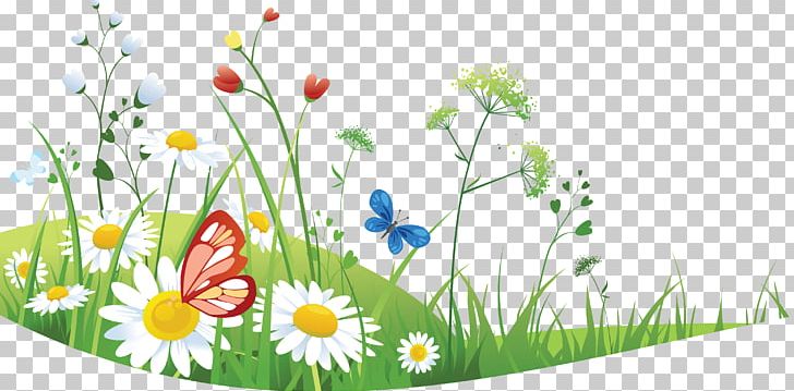 Seasons For Children (summer) PNG, Clipart, Chamomile, Child, Children, Clip Art, Computer Wallpaper Free PNG Download