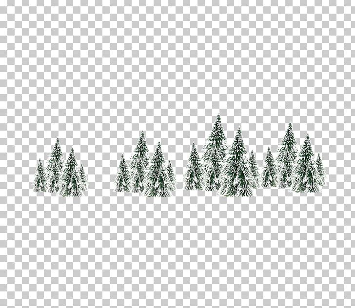 Winter Snow Spruce Tree PNG, Clipart, Christmas, Christmas Decoration, Christmas Frame, Christmas Lights, Christmas Ornament Free PNG Download