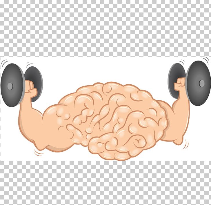 Brain Agy Muscle Exercise Physical Activity PNG, Clipart, Agy, Aju, Brain, Brain Health, Cerebrum Free PNG Download
