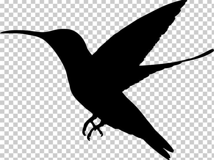 Hummingbird Silhouette PNG, Clipart, Animals, Art, Beak, Bee Hummingbird, Bird Free PNG Download