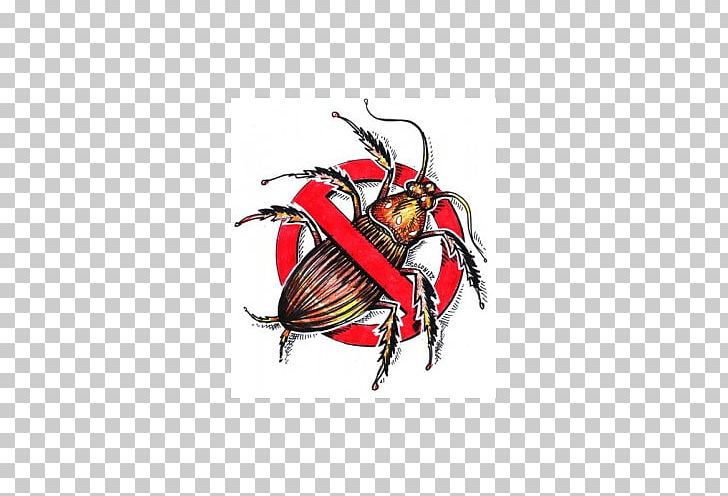 American Cockroach Pest Control Insect PNG, Clipart, American Cockroach, Arthropod, Bee Removal, Beetle, Cockroach Free PNG Download