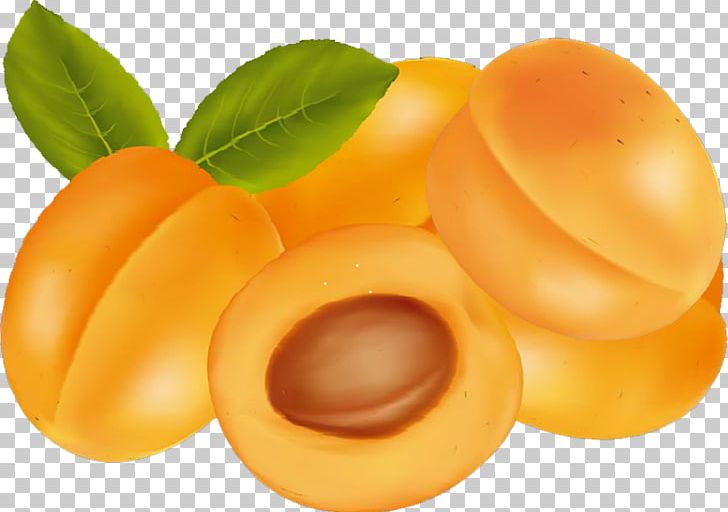 Apricot Fruit Kumquat Food PNG, Clipart, Apricot, Apricot Blossom Vector, Apricot Blossom Yellow, Apricot Flower, Apricots Free PNG Download