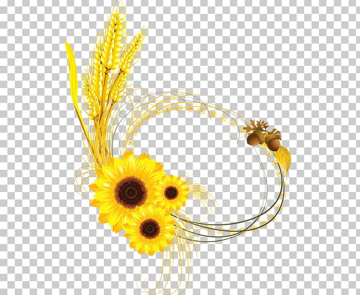 Common Sunflower Decorative Borders Common Wheat PNG, Clipart, Aycicegi, Common Sunflower, Common Wheat, Cut Flowers, Daisy Family Free PNG Download