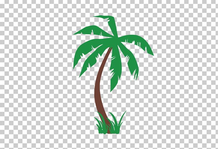 Arecaceae Tree Date Palm Coconut Sabal Palm PNG, Clipart, Arecaceae, Arecales, Coconut, Date Palm, Date Palms Free PNG Download