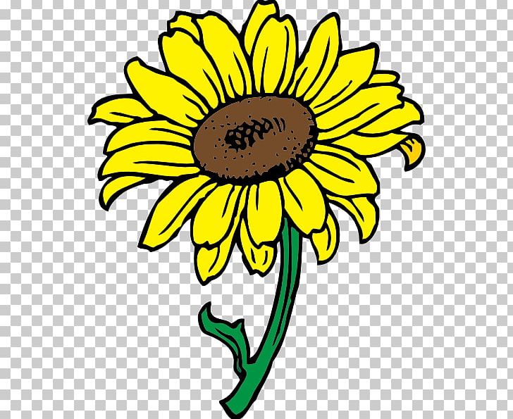 Common Sunflower PNG, Clipart, Artwork, Beautiful Clipart, Black And White, Blog, Christmas Gift Free PNG Download