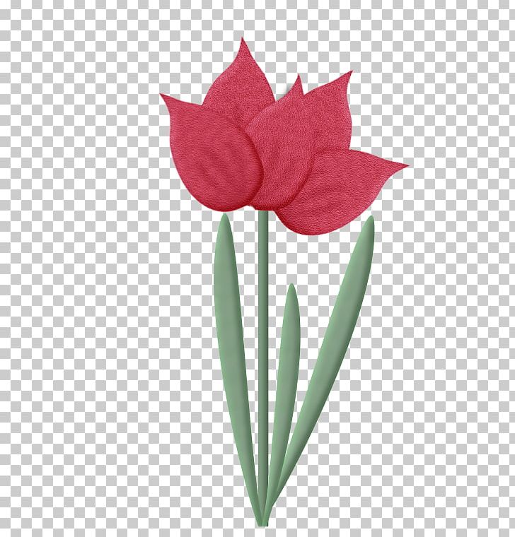 Tulip Cut Flowers PNG, Clipart, Balcony, Balcony Plants Decoration 18 0 1, Bayan Mod, Blog, Blume Free PNG Download