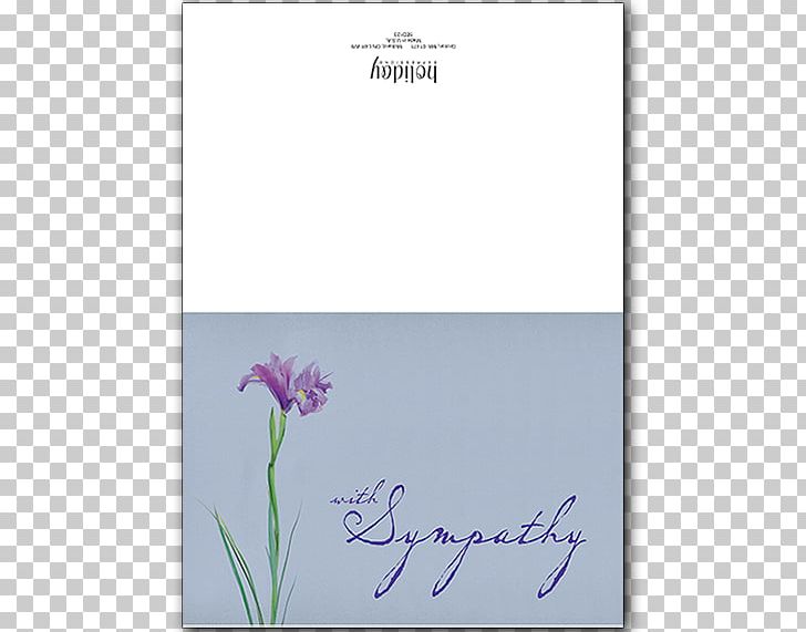Family Violet PNG, Clipart, Family, Flora, Flower, Flowering Plant, Lavender Free PNG Download