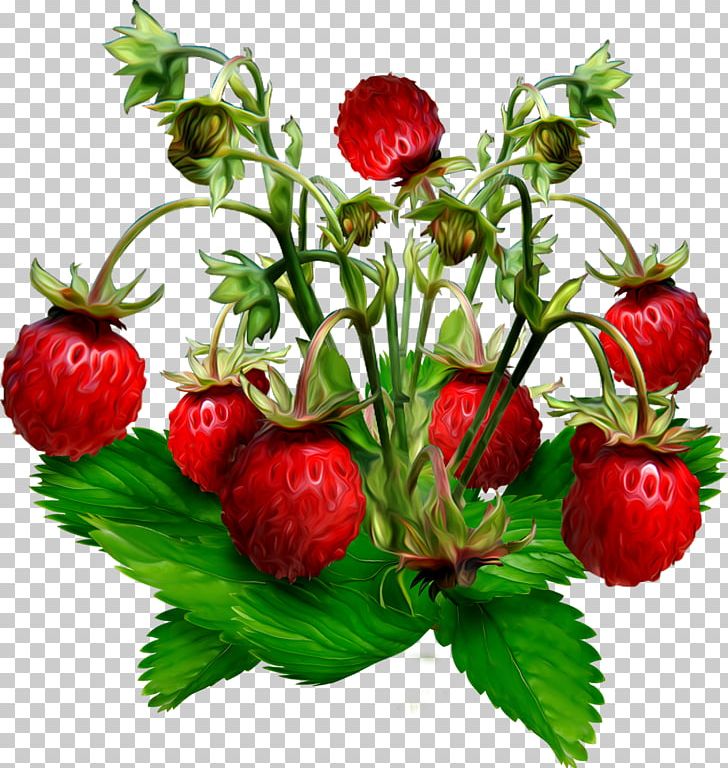 Musk Strawberry Gooseberry Wild Strawberry Jostaberry PNG, Clipart, Berry, Blackberry, Cultivar, Currant, Food Free PNG Download