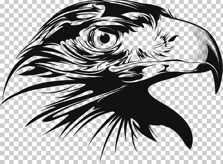 Bald Eagle Euclidean PNG, Clipart, Animal, Animals, Art, Beak, Bird Free PNG Download