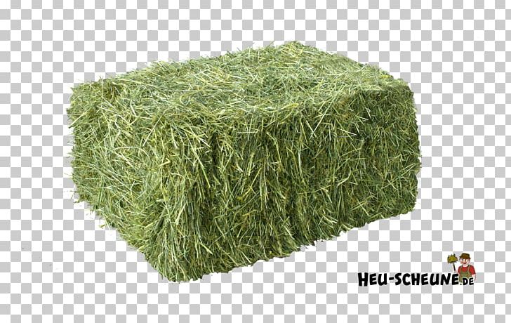 Baler Hay Straw Barn Guinea Pig PNG, Clipart, Baler, Barn, Farm, Fein, Fodder Free PNG Download