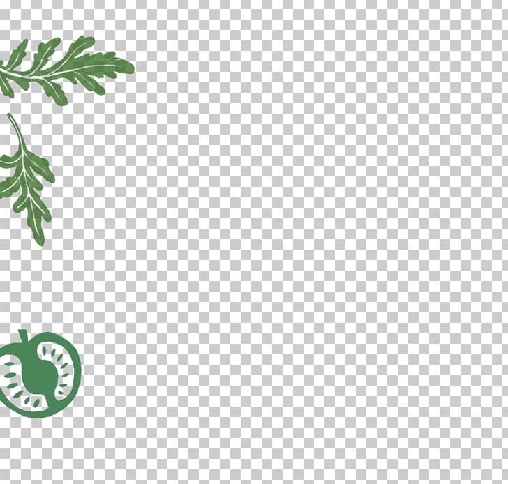 Leaf Plant Stem Font Line Branching PNG, Clipart, Branch, Branching, Grass, Green, Leaf Free PNG Download