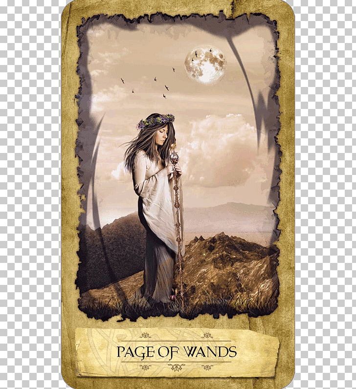 Mystic Dreamer Tarot Page Of Wands Mysticism The Fool PNG, Clipart, Barbara Moore, Dream, Dreamer, Fantasy, Fool Free PNG Download