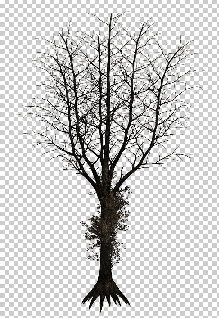 Tree PNG, Clipart, Arboles, Black And White, Branch, Desktop Wallpaper, Deviantart Free PNG Download