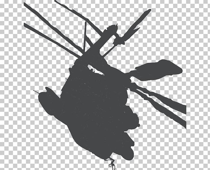 Helicopter Boeing AH-64 Apache Bell UH-1 Iroquois Boeing CH-47 Chinook Sikorsky UH-60 Black Hawk PNG, Clipart, Bell Uh1 Iroquois, Black, Black, Boeing Ah64 Apache, Boeing Ch47 Chinook Free PNG Download
