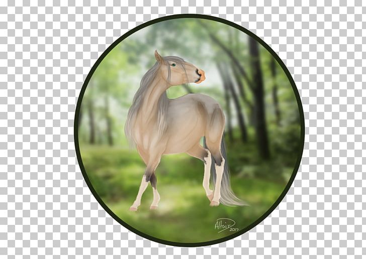 Mustang Fauna Freikörperkultur Yonni Meyer Sadio Mané PNG, Clipart, 2019 Ford Mustang, Deep Forest, Fauna, Ford Mustang, Grass Free PNG Download