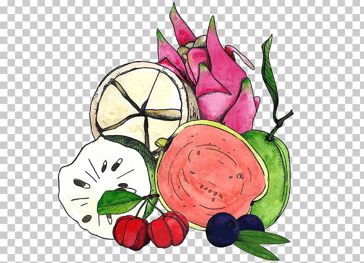 Guava Superfruit Smoothie Food PNG, Clipart, Apple, Art, Artwork, Cut Flowers, Earnest Eats Free PNG Download