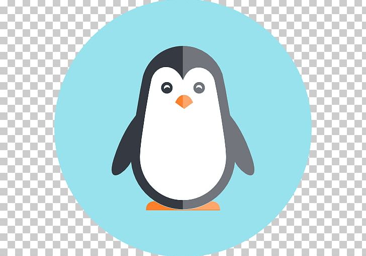 Penguin Computer Icons PNG, Clipart, Animals, Autocad Dxf, Beak, Bird, Child Free PNG Download