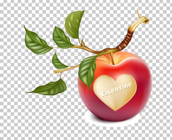 Apple Branch PNG, Clipart, Apple, Apple Fruit, Apple Logo, Apple Vector, Branch Free PNG Download