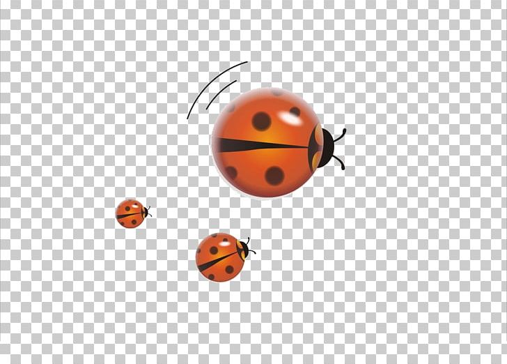 Ladybird Cartoon Drawing PNG, Clipart, Animals, Animated Cartoon, Animation, Balloon Cartoon, Beetle Free PNG Download