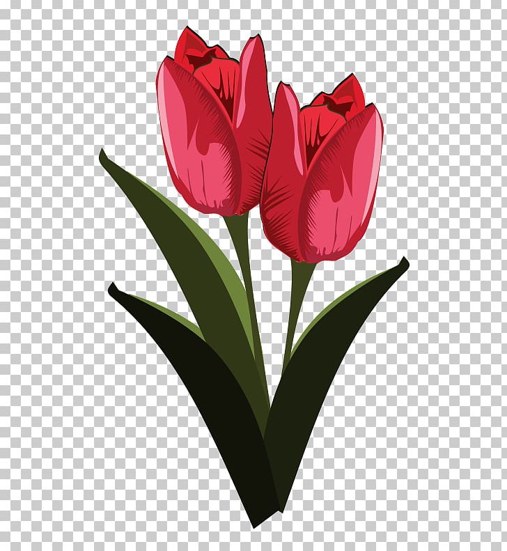 Tulip Flower PNG, Clipart, Blog, Cut Flowers, Desktop Wallpaper, Download, Floristry Free PNG Download