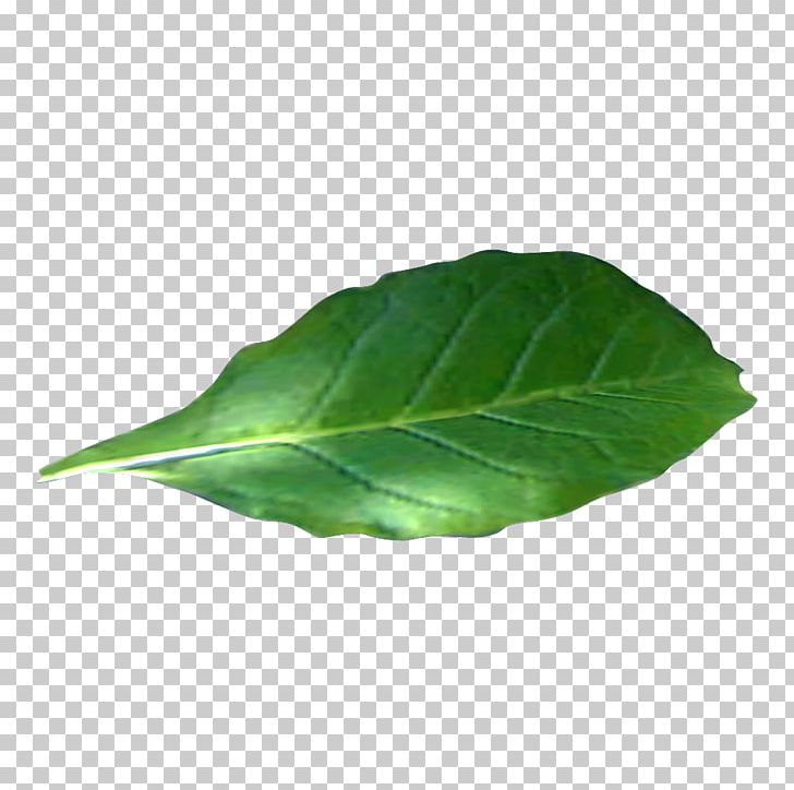Tobacco Plants Wiki Tobacco Pipe PNG, Clipart, Cigar, Cigarette, Collard Greens, Herb, Internet Media Type Free PNG Download