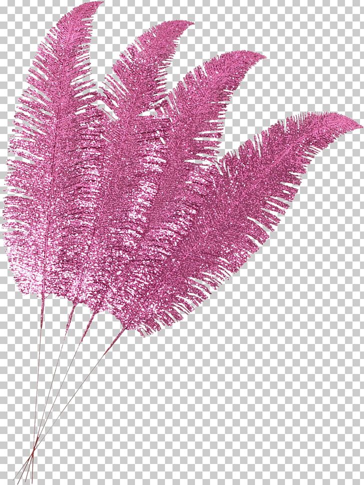 Feather PNG, Clipart, Accessoires, Animals, Feather, Leaf, Magenta Free PNG Download