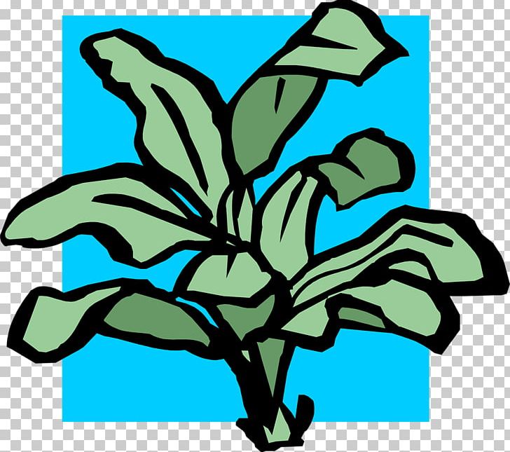 Leaf Plant Stem Flower Tree PNG, Clipart, Artwork, Flower, Leaf, Line, Organism Free PNG Download