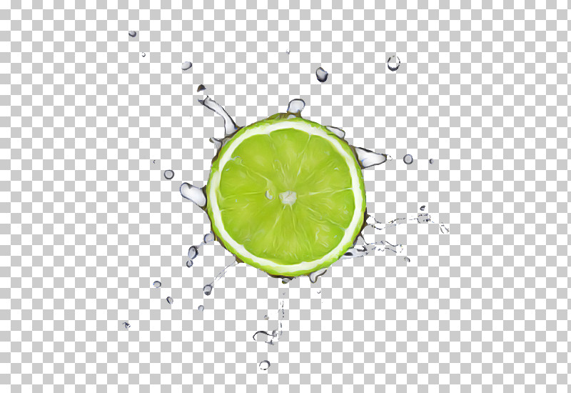Green Lime Citrus Persian Lime Key Lime PNG, Clipart, Citrus, Fruit, Green, Key Lime, Lemon Free PNG Download