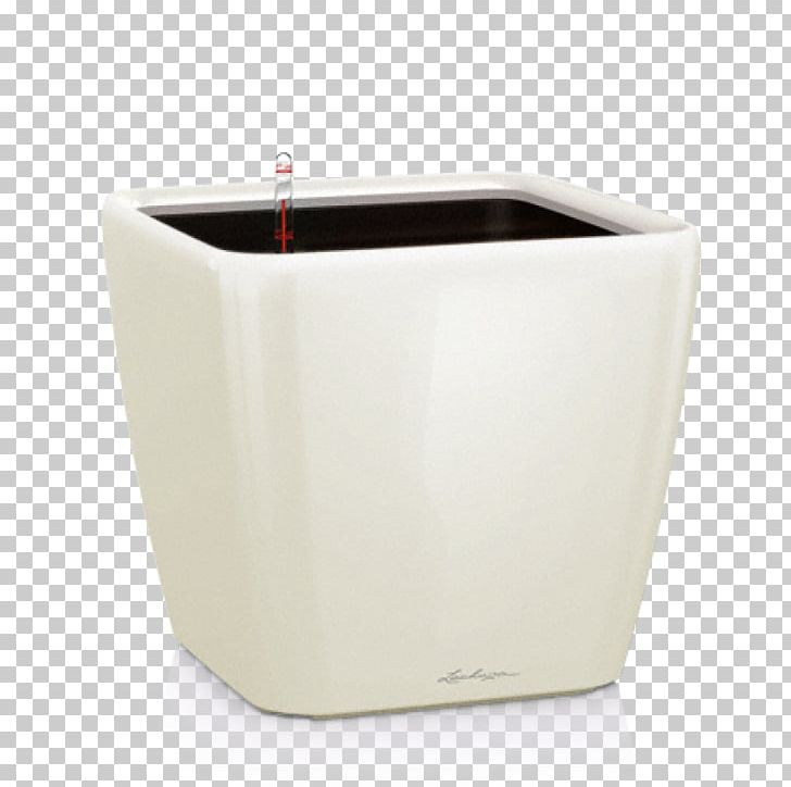 Flowerpot Ceramic Ornamental Plant Nvidia Quadro PNG, Clipart, Ceramic, Cup, Flowerpot, Frost, Height Free PNG Download
