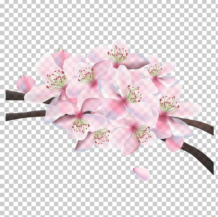 Pink Floral Design Cherry Blossom PNG, Clipart, Artificial Flower, Blossom, Cerasus, Cut Flowers, Download Free PNG Download