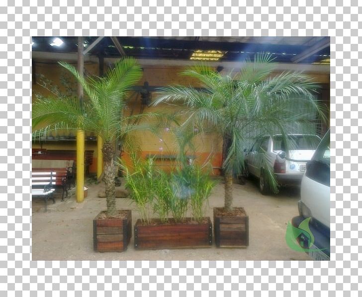 Arecaceae Property Landscaping Tree PNG, Clipart, Arecaceae, Arecales, Grass, Landscaping, Others Free PNG Download