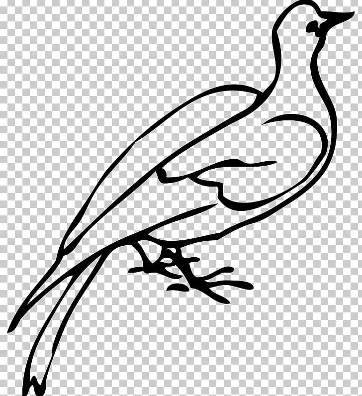 Computer Icons PNG, Clipart, Art, Artwork, Beak, Bird, Black And White Free PNG Download