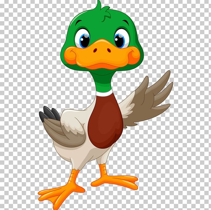 Duck Goose PNG, Clipart, Animal, Animal Illustration, Animals, Beak, Bird Free PNG Download