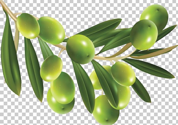 Olive PNG, Clipart, Cdr, Clip Art, Computer Icons, Encapsulated Postscript, Food Free PNG Download