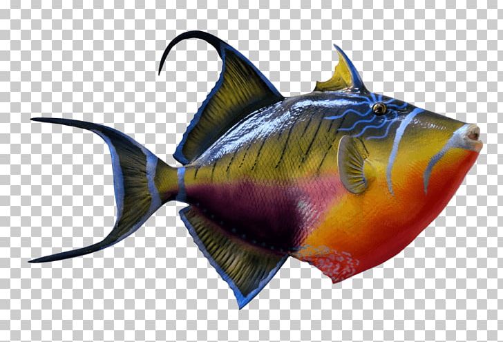 Portable Network Graphics Goldfish & Tropical Fish PNG, Clipart, Animal, Animals, Aquarium, Colorful, Coral Reef Fish Free PNG Download