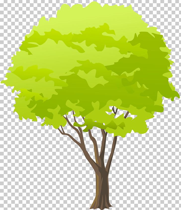 Branch Tree PNG, Clipart, Branch, Computer Icons, Forest, Grass, Green Free PNG Download