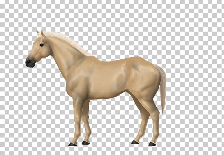 Mustang Mare Pony Stallion Foal PNG, Clipart, American Paint Horse, American Warmblood, Animal Figure, Bridle, Colt Free PNG Download