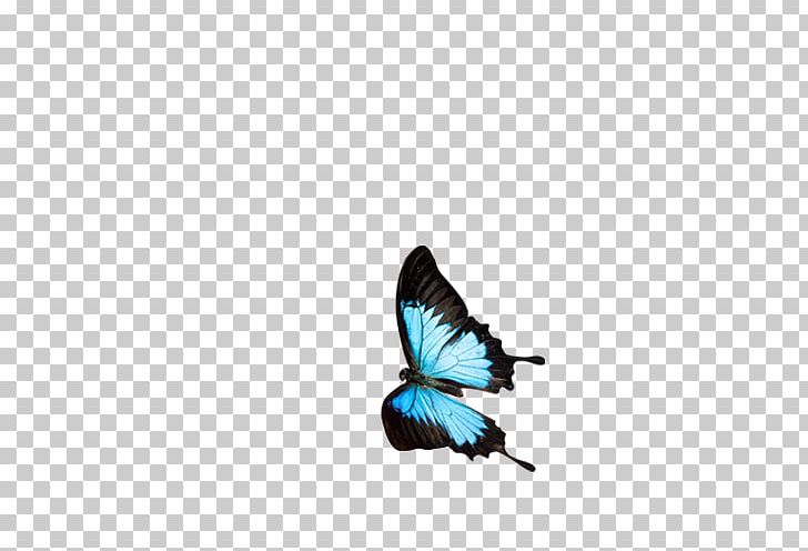 Butterfly PNG, Clipart, Adobe Illustrator, Arthropod, Blue, Blue Abstract, Blue Background Free PNG Download