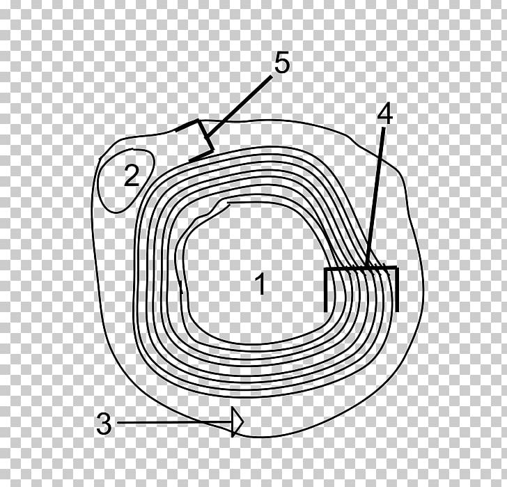 Motor Neuron Axon Myelin Soma PNG, Clipart, Angle, Area, Axon, Black And White, Cell Free PNG Download