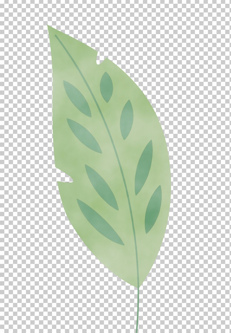 Leaf Plant Stem Green Plants Biology PNG, Clipart, Biology, Green, Leaf, Leaf Abstract, Leaf Cartoon Free PNG Download